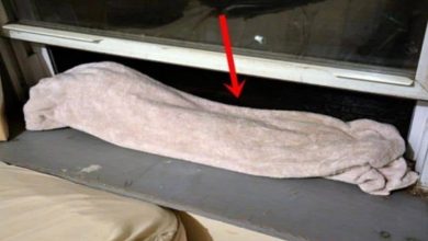 Photo of Every Night She Puts a Wet Towel on the Window, You Will do the Same After Reading This