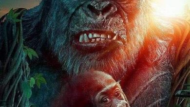 Photo of KONG 2: Son Of Kong (2024)