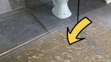 Photo of Mom Begs For Help After “Horrifying” Find In The Bathroom