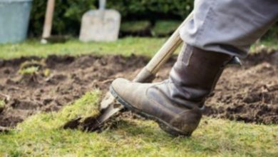 Photo of Man Digging In His Backyard Makes The Last Discovery He Ever Expected To Find