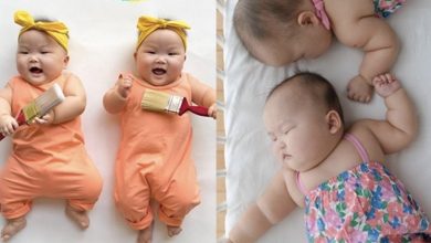 Photo of Let’s Admire These Adorable Chubby Twins