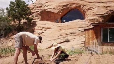 Photo of One American man spent 25 years digging a house in a cave and boasted of the final result