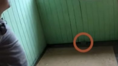 Photo of Little Girl Finds A Secret Room In Her House That Leads Into An Even Wilder Surprise