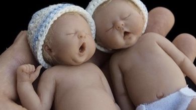 Photo of “Adorable Newborn Puppies: A Surprise Delight as Super Cute Newborns, Smaller Than a Hand, Capture Hearts with Their Tiny Cuteness”