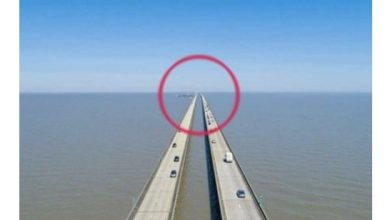 Photo of Even experienced drivers and motorists are scared to cross this bridge.