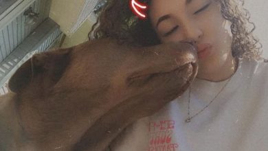 Photo of Her Dog Got Himself In Trouble, But It’s The Bill From The Vet That’s Making Headlines