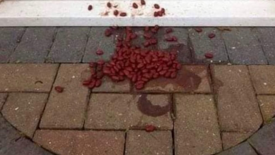 Photo of A woman found food thrown at the door of her house, but she ignored the sign.