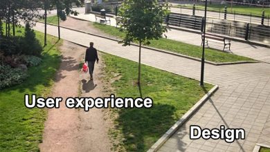 Photo of ‘Desire Paths’, People And Animals Make Their Own Way