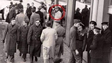 Photo of Facebook is convinced that time travel is real