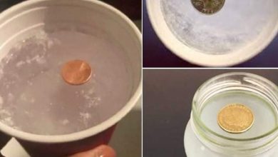Photo of Why you should always put a coin in the freezer before you leave home