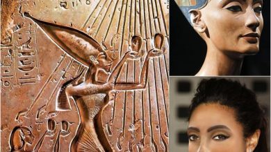 Photo of The historical records abruptly lost any trace of Queen Nefertiti’s existence in 1336 BC