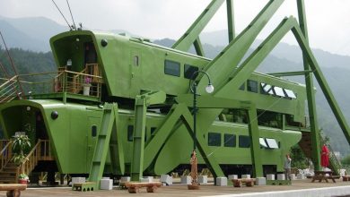 Photo of A Grasshopper-Shaped Cafe, Grasshopper’s Dream, At The Train Station In South Korea