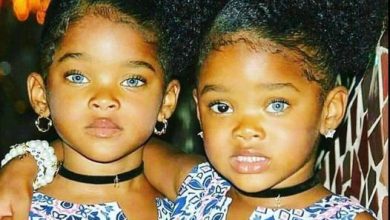 Photo of The Trueblue Twins: A Fascinating and Unique Story