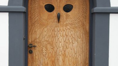 Photo of 10+ Strikingly Beautiful Doors From Around The World