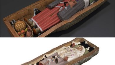 Photo of After being buried beneath a tree trunk for 2,200 years, a Celtic woman’s mummy is discovered accompanied by “luxury clothing and jewelry”