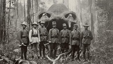 Photo of Thai Nobility Chronicles: Captivating Photos of Mysterious Hunts during King Rama V’s Reign