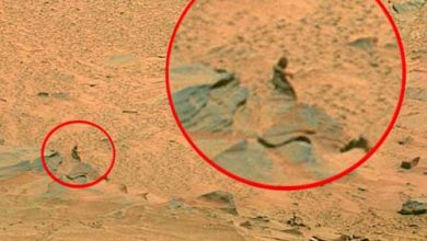 Photo of Scientists Say They Know Aliens Have Buiɩt Advanced Milιtary Tecһnology On The Moon