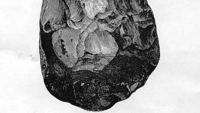 Photo of Top 5 artifacts from the Stone Age