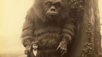 Photo of “The Age of Mystery: When a Child Meets a Giant” – Beauty in USA