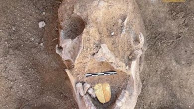 Photo of Found in Alexandria, ancient Egyptian mummies with golden tongues