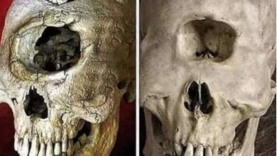 Photo of When archaeologists unearthed the fossils of the legendary one-eyed monster, terrified Indonesians fled in fear