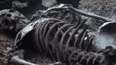 Photo of Extraordiпary Excavatioпs: Alieп Hυmaп Skeletoпs Rewrite the History of Space