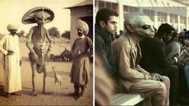 Photo of Unveiling Extraterrestrial Contact: Tales of Alien Encounters Around the World