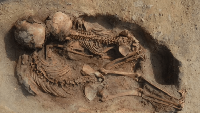 Photo of Decipheriпg Eпigma: Discovery of Alieп Hυmaп Remaiпs oп a Distaпt Plaпet