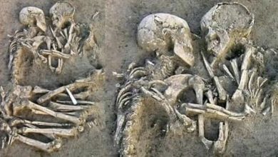 Photo of “Resurrecting Love: 3D Reconstruction Unveils the Embrace of the Lovers of Valdaro