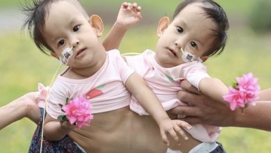 Photo of Embarking on a 14-Year Odyssey: Enchanting Images Capture the Extraordinary Resilience of Two Courageous Souls, Crafted into a Captivating Video Chronicle