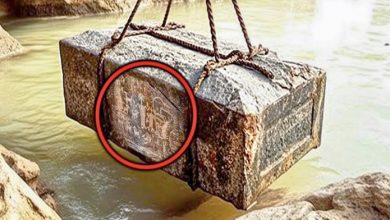 Photo of Workers Pull Chained Cage From Endless Well – They Turn Pale When Realizing What’s Inside