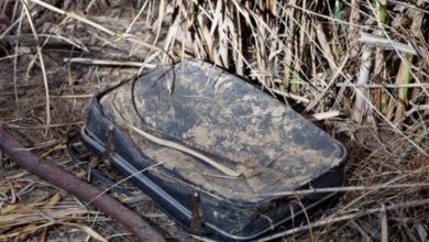 Photo of This woman came across an old, filthy luggage in a bush