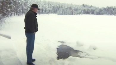 Photo of Elderly man waits every day for his friend to crawl out of this hole and greet him