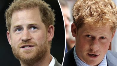 Photo of “Older woman” who took Prince Harry’s virginity steps forward: All you need to know