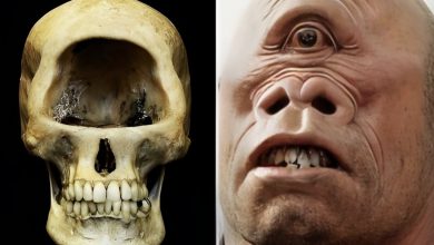 Photo of Archaeologists found artefacts of the notorious One-Eyed Monster, which made people in Germany flee in terror
