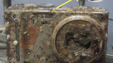 Photo of Diver Develops Film From Camera Found At Bottom Of Sea