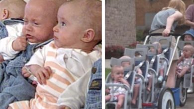 Photo of Miracle of the Nineties: The Extraordinary Journey of the McCohugh Septuplets