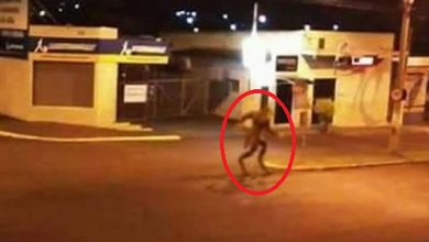 Photo of Enigma in the Dark: Security Camera Footage Reveals Alien Being Casually Exploring City at Midnight