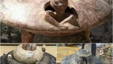 Photo of Unlocking The Past: Decoding Ancient Secrets Of Disc-Shaped Objects Across Time