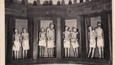 Photo of Unsolved Mystery: Odd Mummies of Venzone: Ancient Corpses That Never Decompose