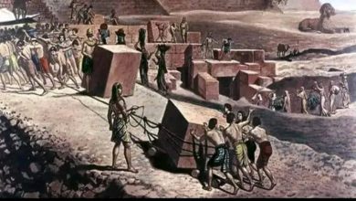 Photo of The Great Pyramids of Giza