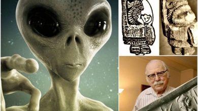 Photo of The ultimate proof that aliens have visited Earth in the past