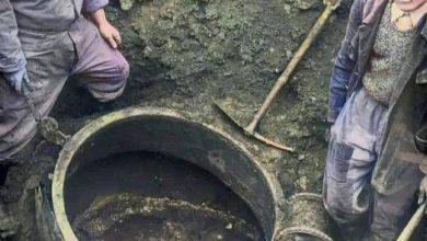 Photo of The Enchanting Discovery of Vix: Unveiling the Celtic Princess and Her Opulent Tomb