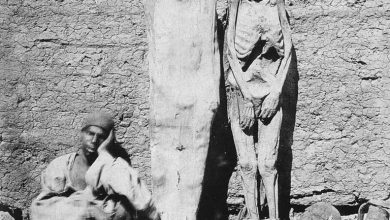 Photo of “The Curious Case of Mummies in 19th Century Egypt: From Street Vendor Sales to Unwrapping Parties”
