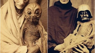 Photo of International UFO Unveiling: Trio of Unexplained Objects Linked Across China, Australia, and France (Footage)