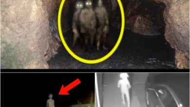 Photo of Photographic Enigma: Woman Documents Alien’s ‘Tiny Form’ in a Perplexing Scene