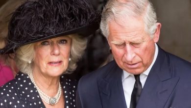 Photo of Queen Camilla Takes a Work Break to Be with Ailing Husband King Charles & Family: Details