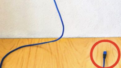 Photo of Never leave a charger in an outlet without your phone: I’ll expose the three major reasons
