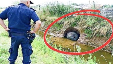 Photo of Man Buys New House Then His Gut Tells Him To Dig In His Backyard