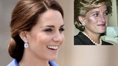 Photo of Princess Diana’s Brother Admits He’s Worried When Asked About His Niece-in-Law Kate Middleton